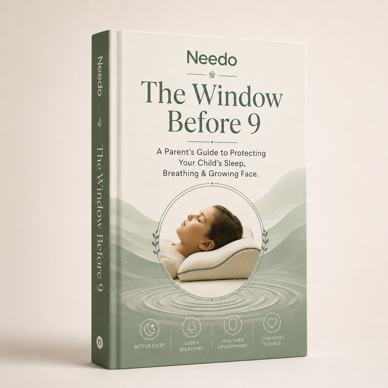 The Window Before 9 (E-Book)