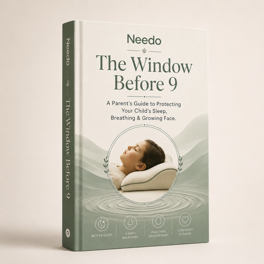 The Window Before 9 (E-Book)